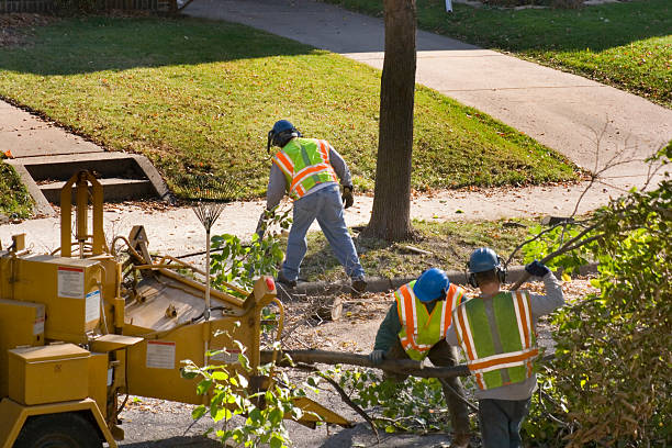 Best Utility Line Clearance  in Rothsville, PA